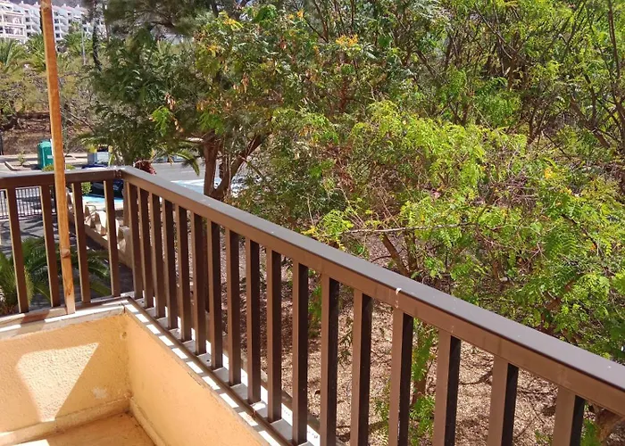 Appartement Cristianos Guincho (Tenerife)