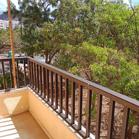 Apartment Cristianos Guincho (Tenerife)